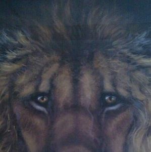 Meet your Posher, Tim